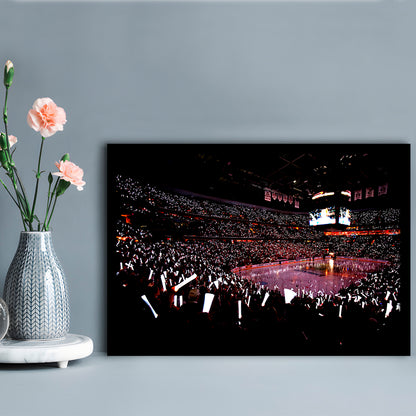 Capital One Arena, Stadium Canvas, Sport Art, Gift for him, Framed Art Print Wall Decor, Picture Framed