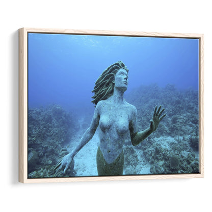 Cayman Islands Grand Cayman Island Mermaid Sculpture In Shallow Coral Reef, Framed Cavas Print, Floating Frame