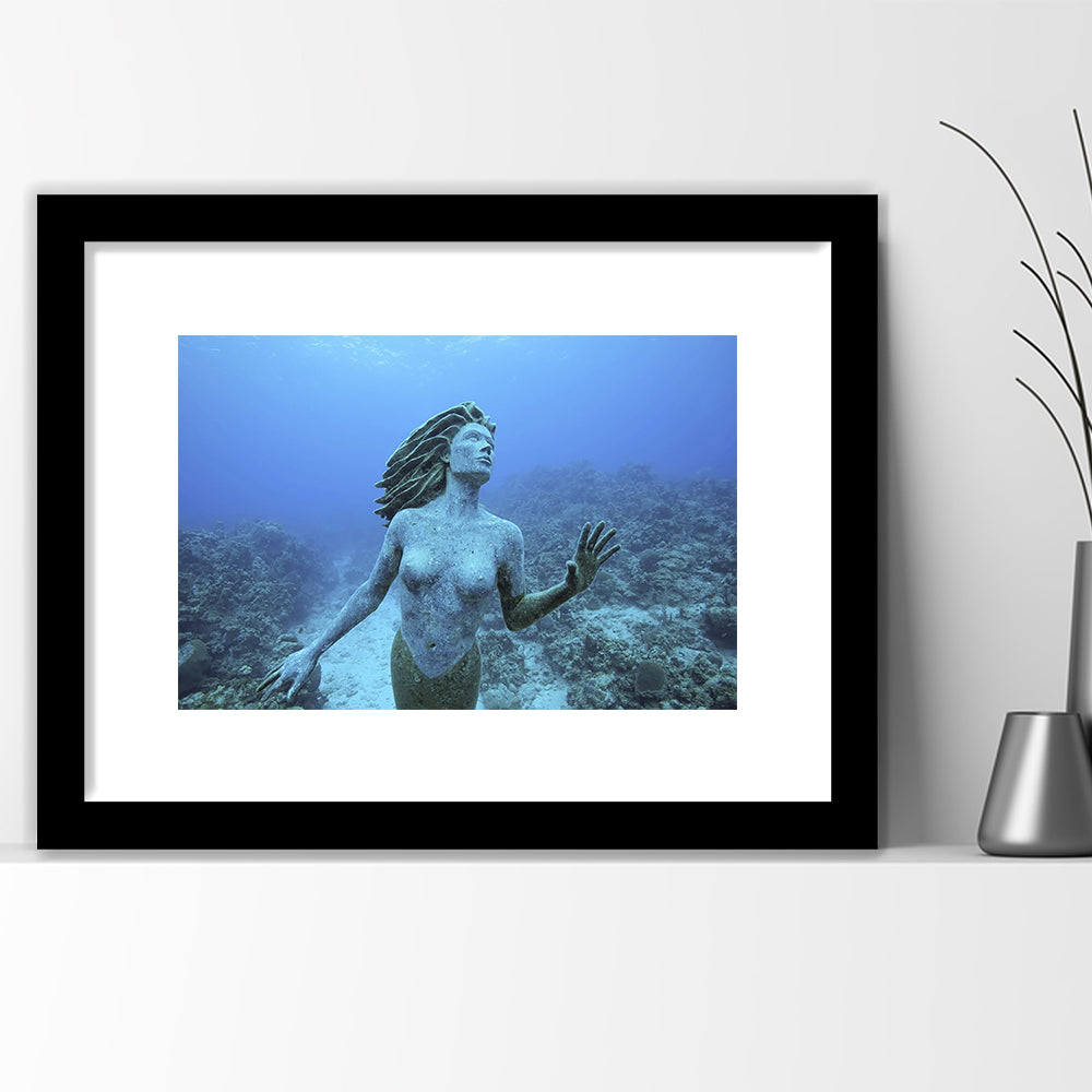 Cayman Islands Grand Cayman Island Mermaid Sculpture In Shallow Coral Reef, Framed Art Print White Border