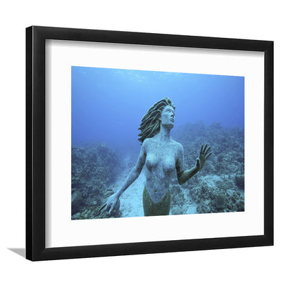 Cayman Islands Grand Cayman Island Mermaid Sculpture In Shallow Coral Reef, Framed Art Print White Border