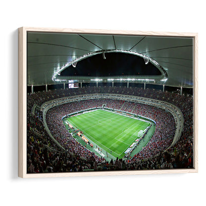 Chivas Guadalajara Stadium, Stadium Canvas, Sport Art, Framed Canvas Print Wall Art, Floating Frame