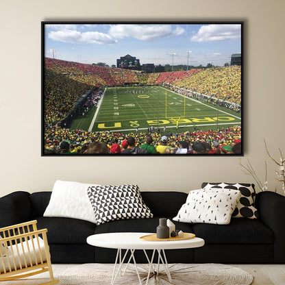 College football Stadium, Stadium Canvas, Sport Art, Framed Canvas Print Wall Art, Floating Frame