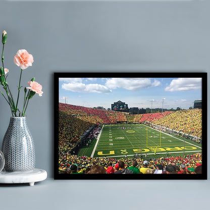 College football Stadium, Stadium Canvas, Sport Art, Gift for him, Framed Art Print Wall Decor, Picture Framed