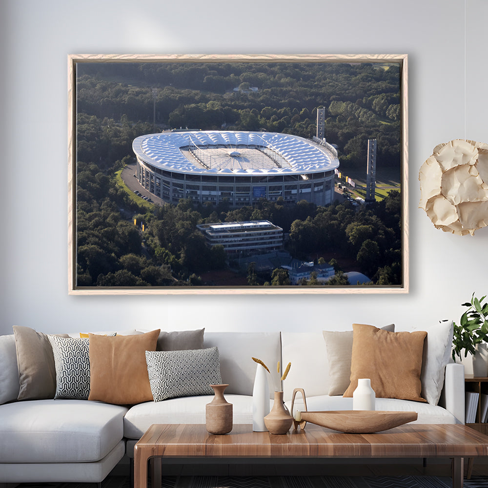 Commerzbank Arena in Salvador, Stadium Canvas, Sport Art, Framed Canvas Print Wall Art, Floating Frame