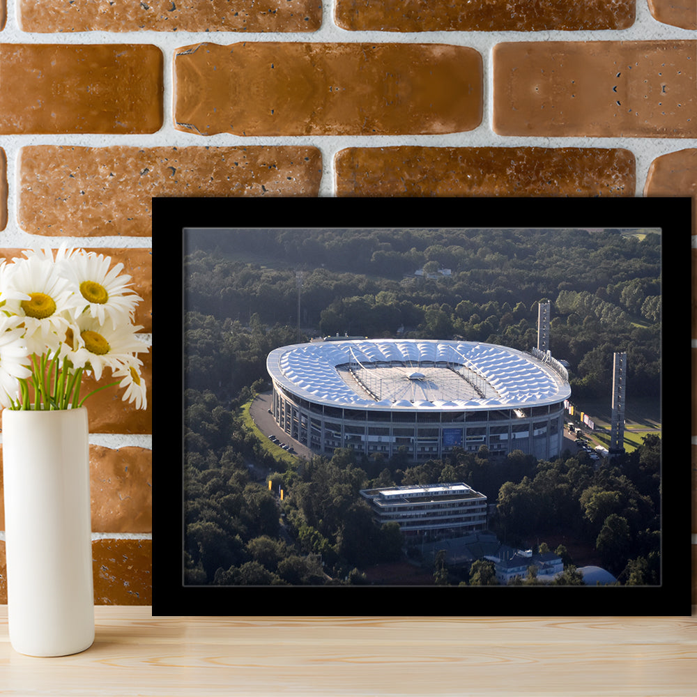 Commerzbank Arena in Salvador, Stadium Canvas, Sport Art, Gift for him, Framed Art Print Wall Decor, Picture Framed