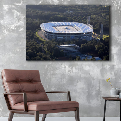 Commerzbank Arena in Salvador, Stadium Canvas, Sport Art, Gift for him, Man Cave Decor, Art Print, Canvas Print Wall Art