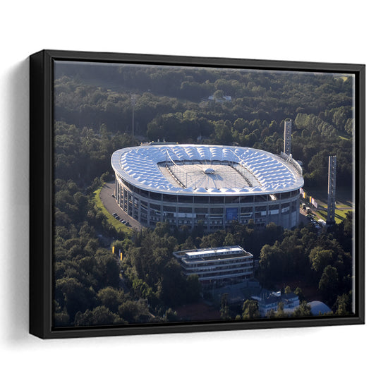 Commerzbank Arena in Salvador, Stadium Canvas, Sport Art, Framed Canvas Print Wall Art, Floating Frame