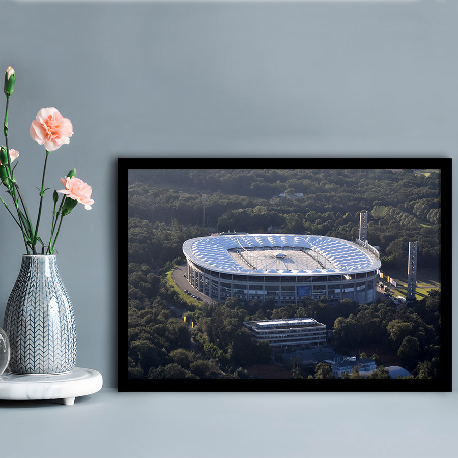 Commerzbank Arena in Salvador, Stadium Canvas, Sport Art, Gift for him, Framed Art Print Wall Decor, Picture Framed