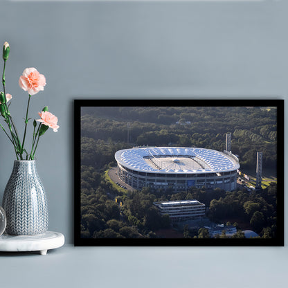 Commerzbank Arena in Salvador, Stadium Canvas, Sport Art, Gift for him, Framed Art Print Wall Decor, Picture Framed