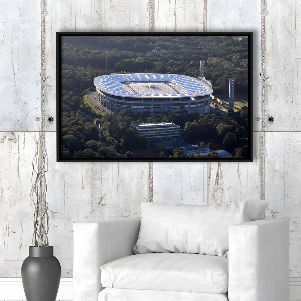 Commerzbank Arena in Salvador, Stadium Canvas, Sport Art, Framed Canvas Print Wall Art, Floating Frame