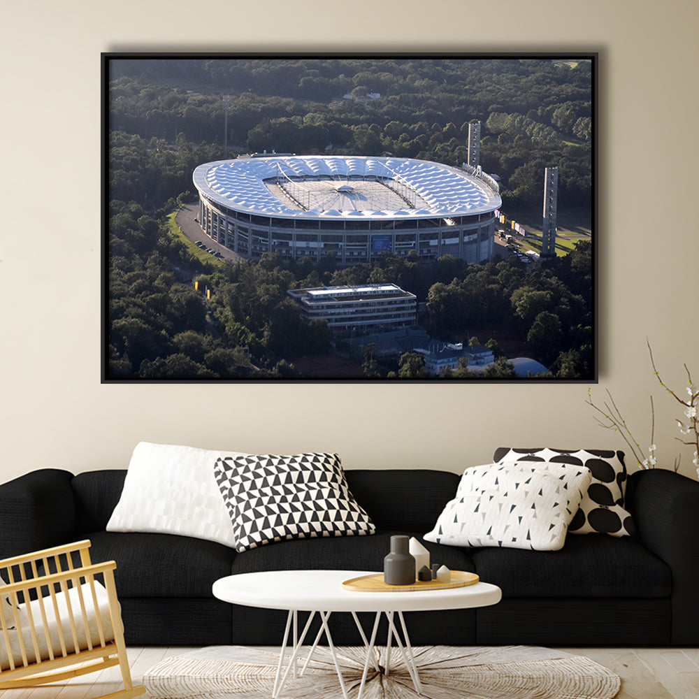 Commerzbank Arena in Salvador, Stadium Canvas, Sport Art, Framed Canvas Print Wall Art, Floating Frame