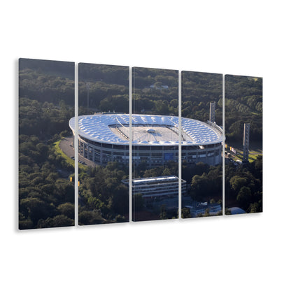 Commerzbank Arena in Salvador, Stadium Canvas, Sport Art, 5 Panel B, Extra Large Canvas, Canvas Print Wall Art