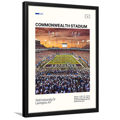 Commonwealth Stadium Print, Kentucky Wildcats Stadium Art, Gifts for him, Sport Art, Framed Art Print Wall Decor