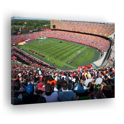 Commonwealth Stadium, Stadium Canvas, Sport Art, Gift for him, Man Cave Decor, Art Print, Canvas Print Wall Art