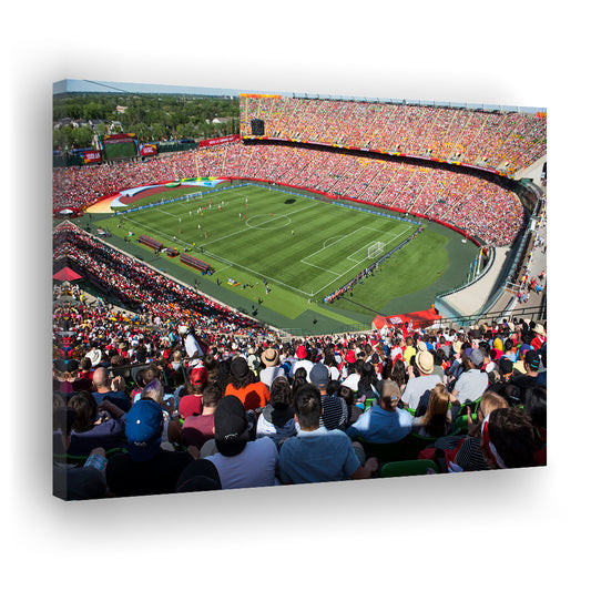 Commonwealth Stadium, Stadium Canvas, Sport Art, Gift for him, Man Cave Decor, Art Print, Canvas Print Wall Art