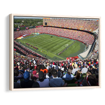 Commonwealth Stadium, Stadium Canvas, Sport Art, Framed Canvas Print Wall Art, Floating Frame