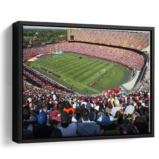 Commonwealth Stadium, Stadium Canvas, Sport Art, Framed Canvas Print Wall Art, Floating Frame