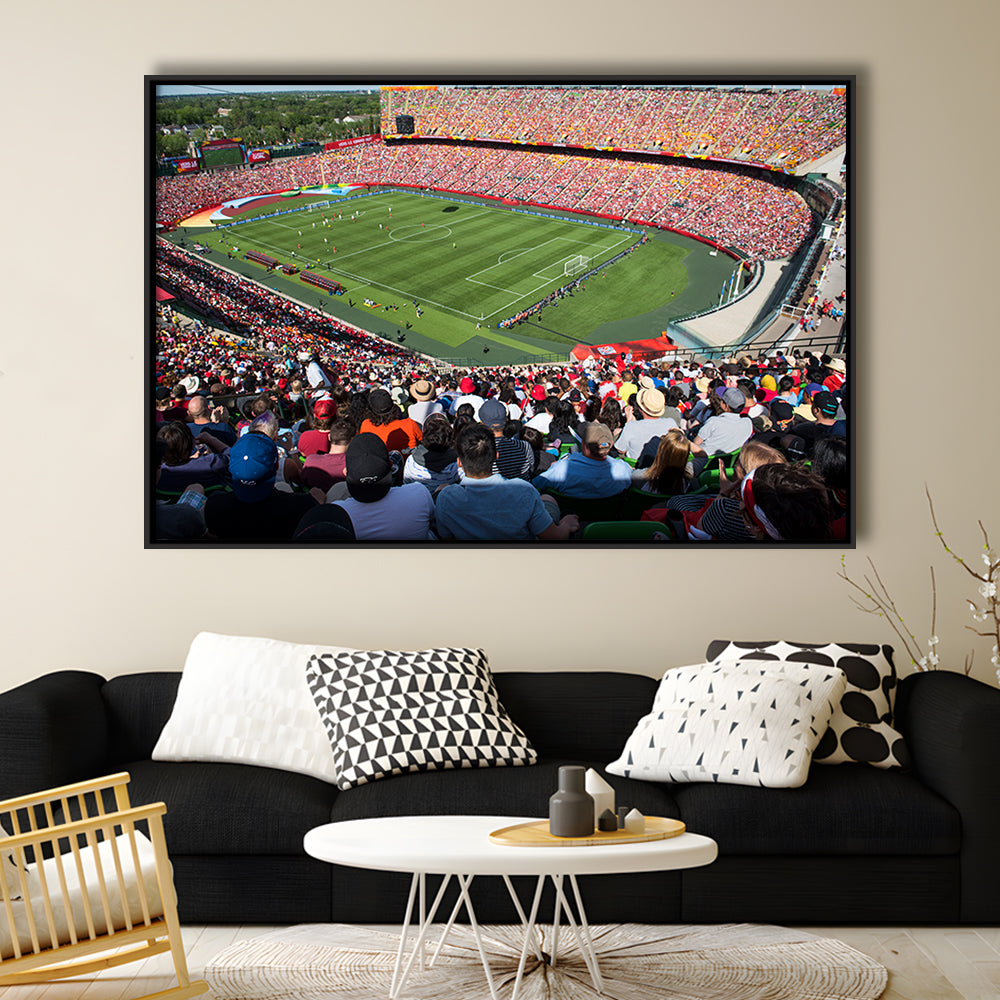 Commonwealth Stadium, Stadium Canvas, Sport Art, Framed Canvas Print Wall Art, Floating Frame