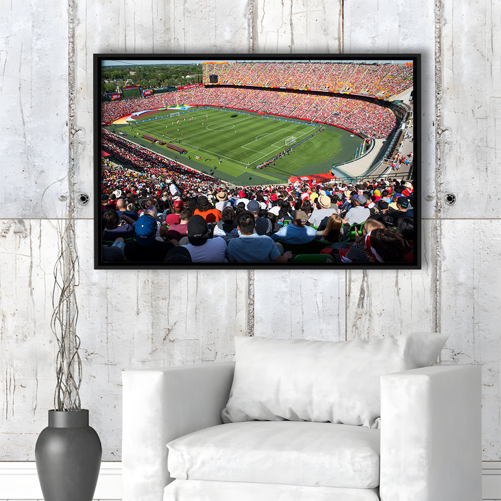 Commonwealth Stadium, Stadium Canvas, Sport Art, Framed Canvas Print Wall Art, Floating Frame
