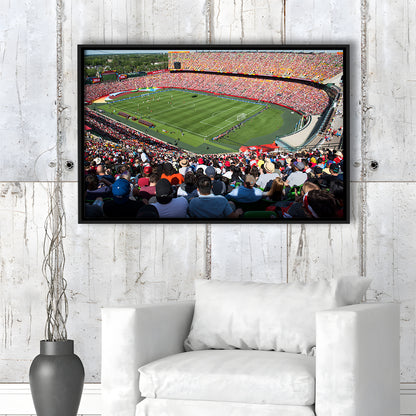 Commonwealth Stadium, Stadium Canvas, Sport Art, Framed Canvas Print Wall Art, Floating Frame