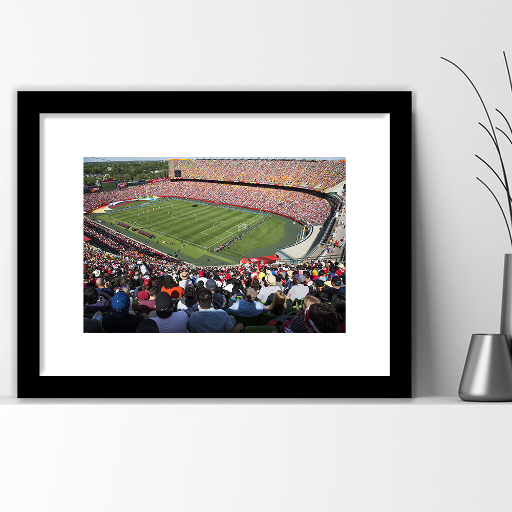 Commonwealth Stadium, Stadium Canvas, Sport Art, Gift for him, White Border Framed Art Print Wall Decor