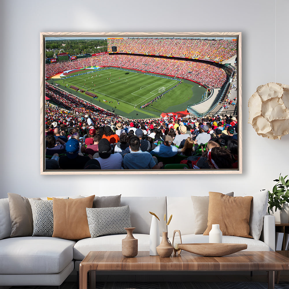 Commonwealth Stadium, Stadium Canvas, Sport Art, Framed Canvas Print Wall Art, Floating Frame