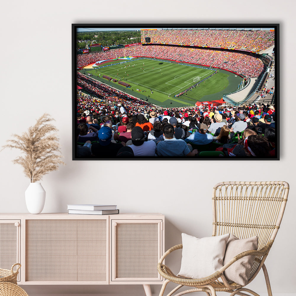 Commonwealth Stadium, Stadium Canvas, Sport Art, Framed Canvas Print Wall Art, Floating Frame