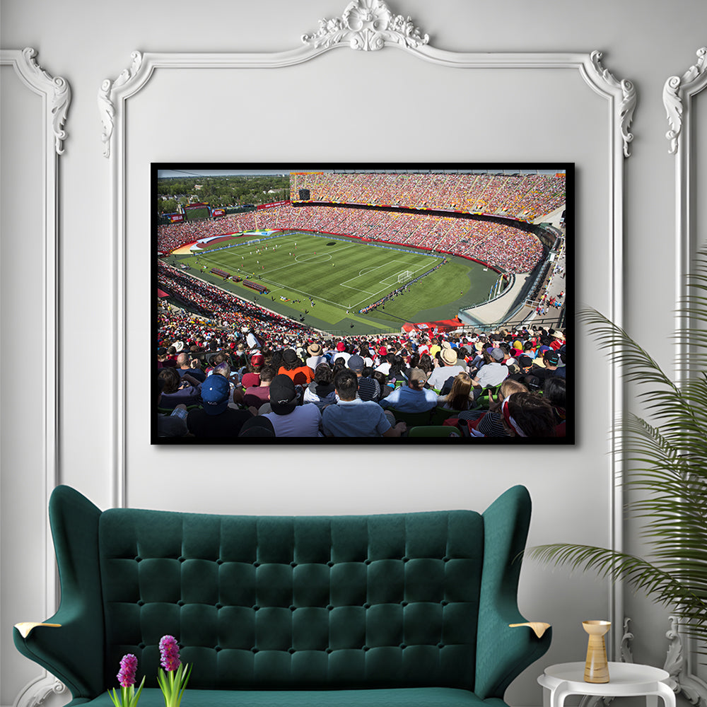 Commonwealth Stadium, Stadium Canvas, Sport Art, Gift for him, Framed Art Print Wall Decor, Picture Framed