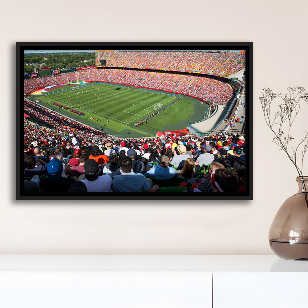 Commonwealth Stadium, Stadium Canvas, Sport Art, Framed Canvas Print Wall Art, Floating Frame