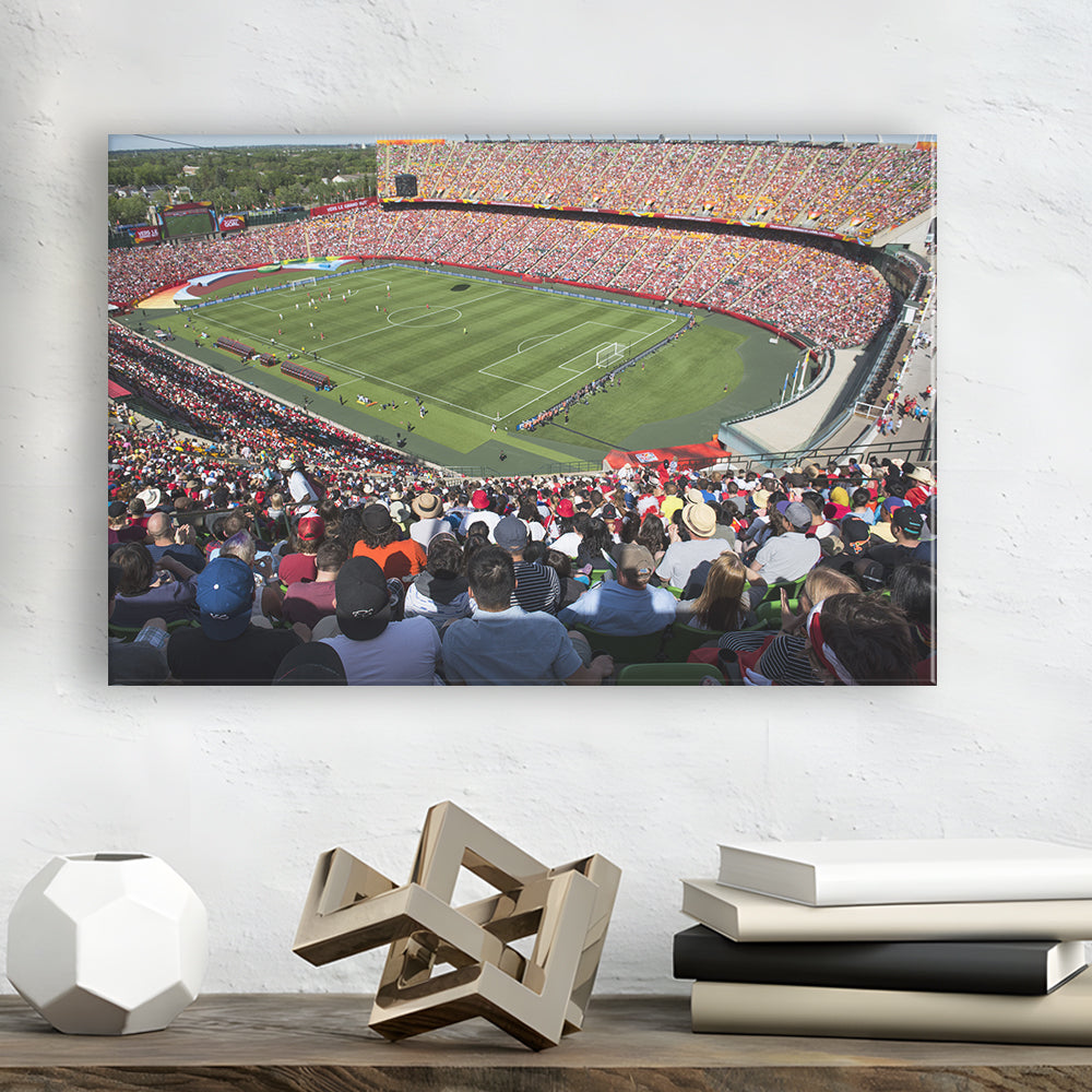 Commonwealth Stadium, Stadium Canvas, Sport Art, Gift for him, Man Cave Decor, Art Print, Canvas Print Wall Art