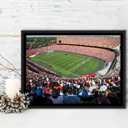 Commonwealth Stadium, Stadium Canvas, Sport Art, Framed Canvas Print Wall Art, Floating Frame