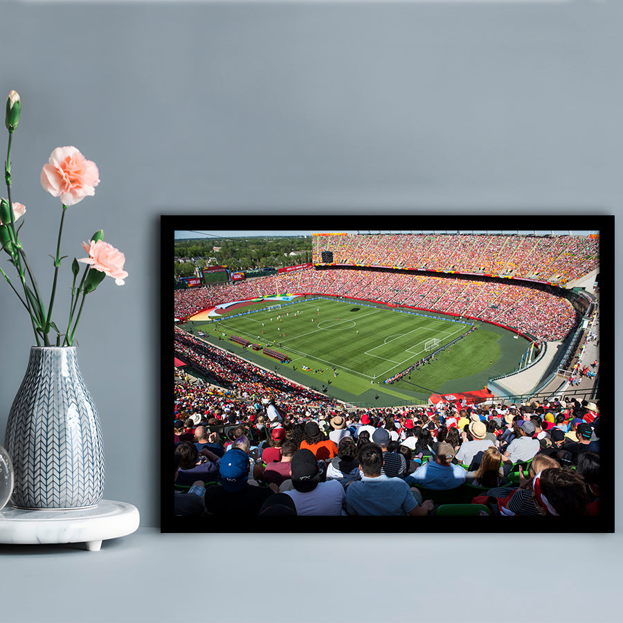 Commonwealth Stadium, Stadium Canvas, Sport Art, Gift for him, Framed Art Print Wall Decor, Picture Framed
