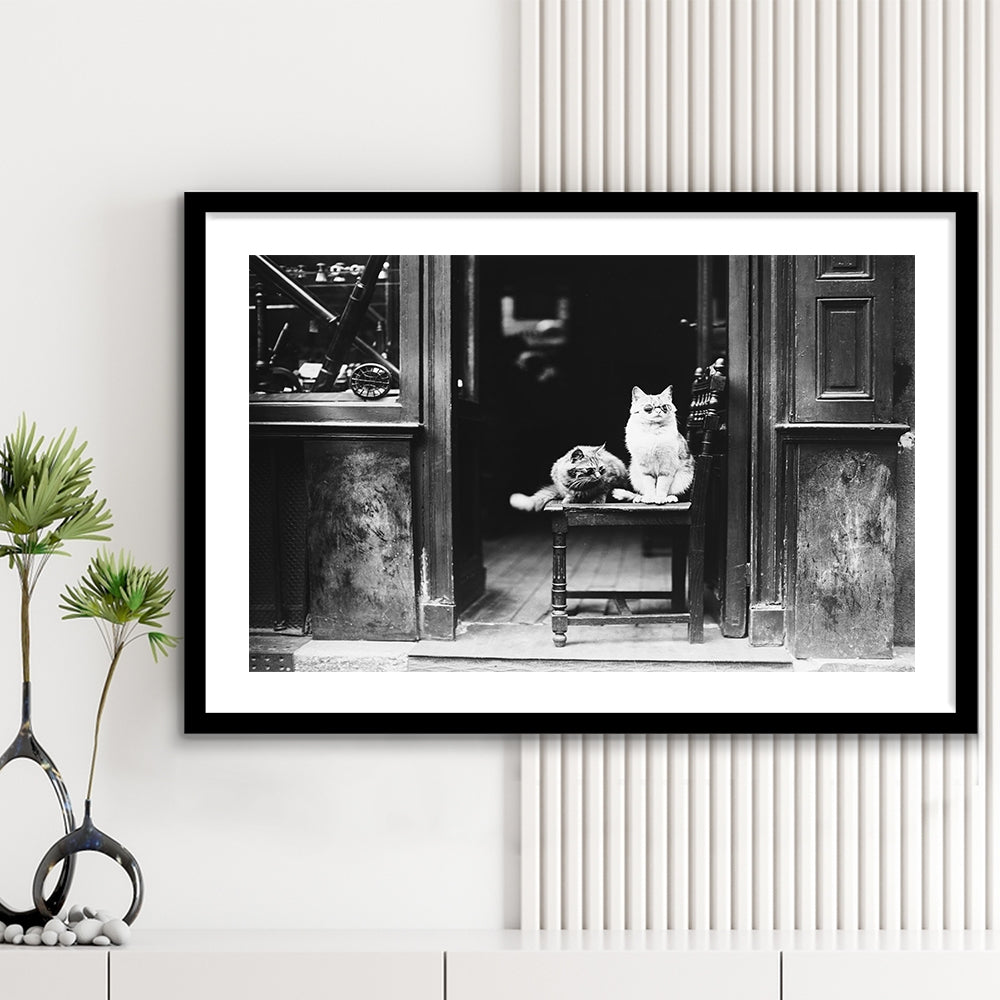 Cute Cats Wearing Sunglasses Funny Vintage Animal Photo Black and White Art, Framed Art Print White Border Wall Decor