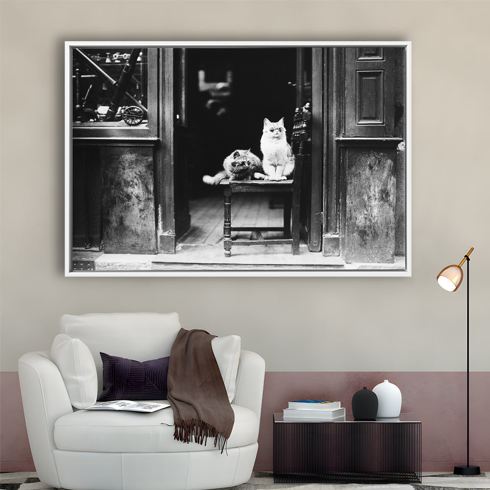 Cute Cats Wearing Sunglasses Funny Vintage Animal Photo Black and White Art, Floating Framed Canvas Print