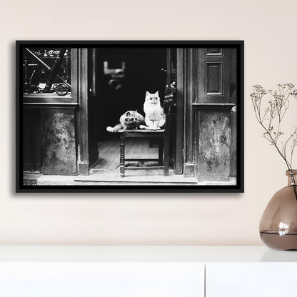 Cute Cats Wearing Sunglasses Funny Vintage Animal Photo Black and White Art, Floating Framed Canvas Print