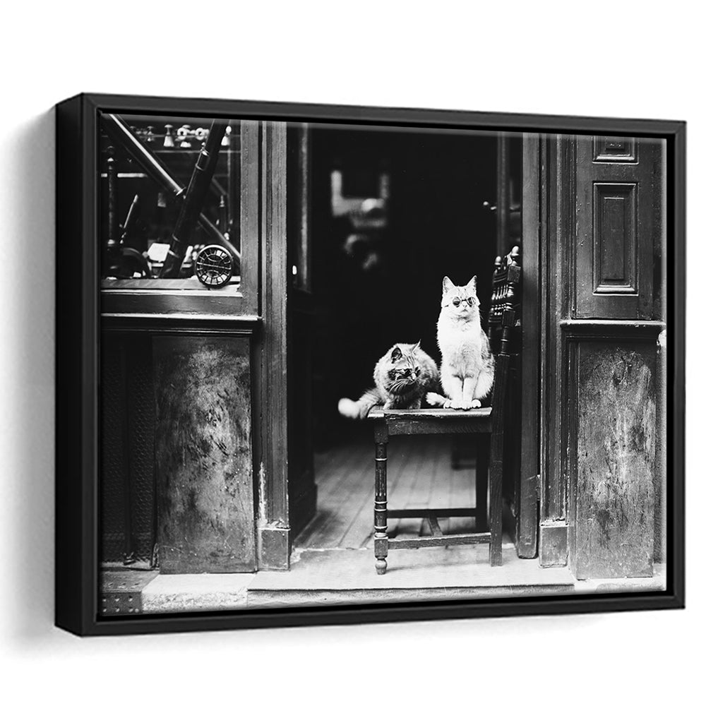 Cute Cats Wearing Sunglasses Funny Vintage Animal Photo Black and White Art, Floating Framed Canvas Print