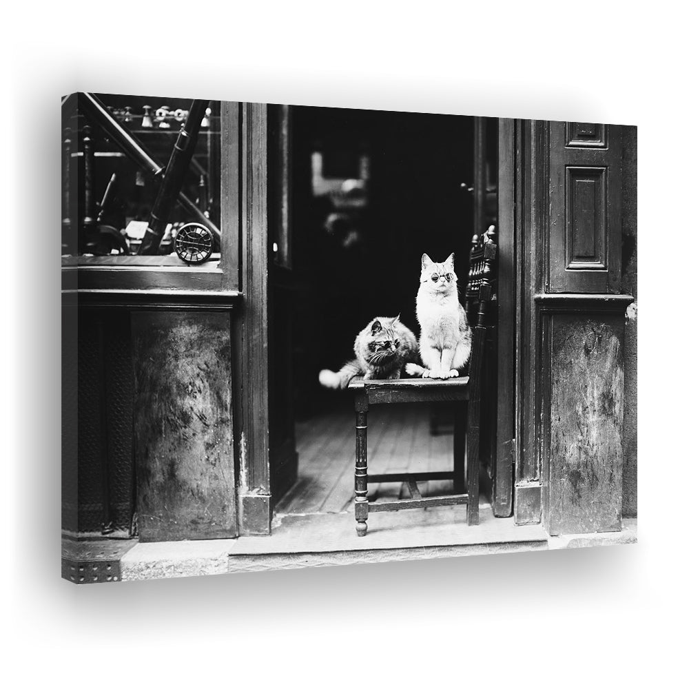 Cute Cats Wearing Sunglasses Funny Vintage Animal Photo Black and White Art, Canvas Print Wall Art Decor