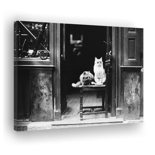 Cute Cats Wearing Sunglasses Funny Vintage Animal Photo Black and White Art, Canvas Print Wall Art Decor