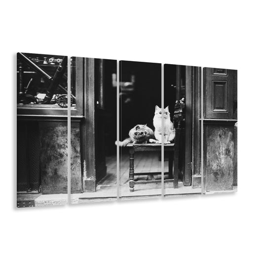 Cute Cats Wearing Sunglasses Funny Vintage Animal Photo Black and White Art, 5 Pieces Large Canvas Print