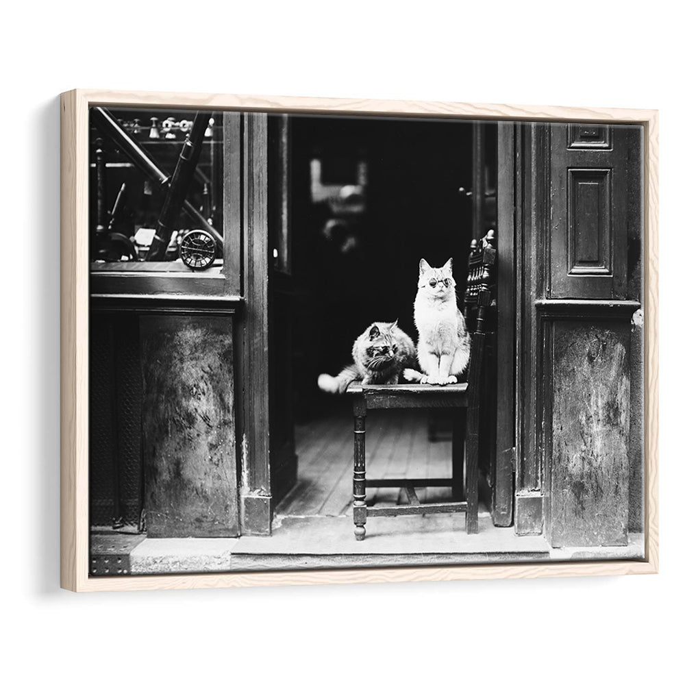 Cute Cats Wearing Sunglasses Funny Vintage Animal Photo Black and White Art, Floating Framed Canvas Print