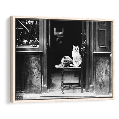Cute Cats Wearing Sunglasses Funny Vintage Animal Photo Black and White Art, Floating Framed Canvas Print