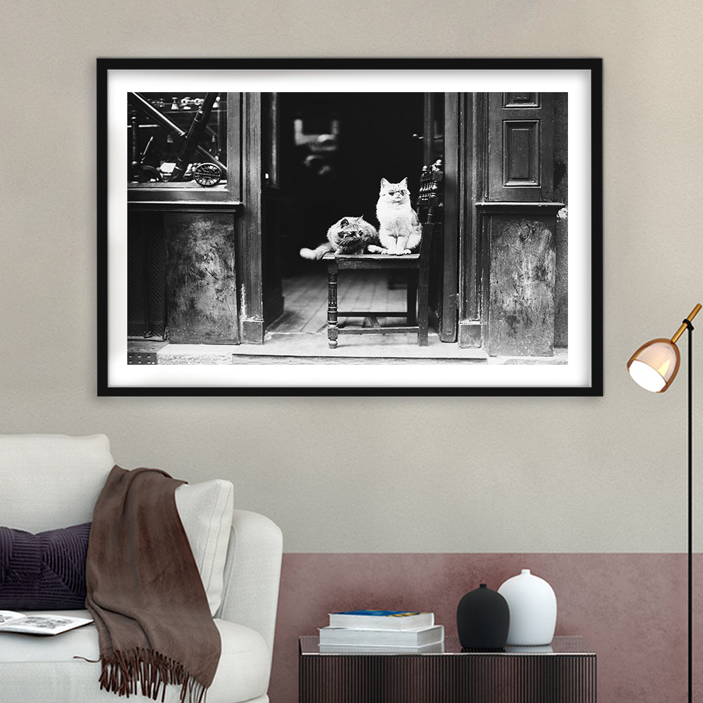 Cute Cats Wearing Sunglasses Funny Vintage Animal Photo Black and White Art, Framed Art Print White Border Wall Decor