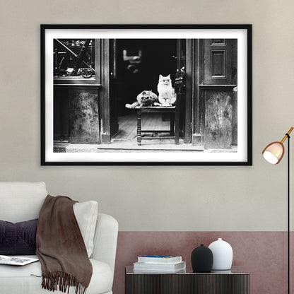 Cute Cats Wearing Sunglasses Funny Vintage Animal Photo Black and White Art, Framed Art Print White Border Wall Decor