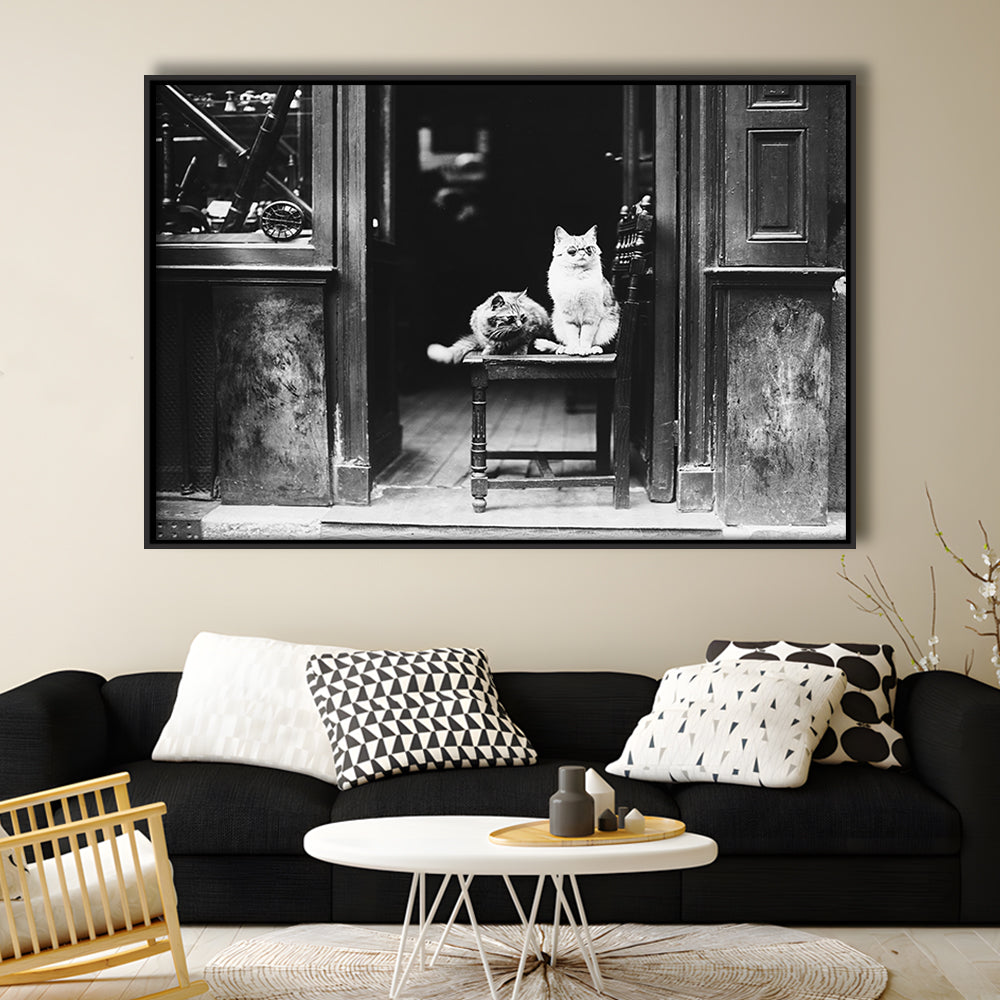 Cute Cats Wearing Sunglasses Funny Vintage Animal Photo Black and White Art, Floating Framed Canvas Print