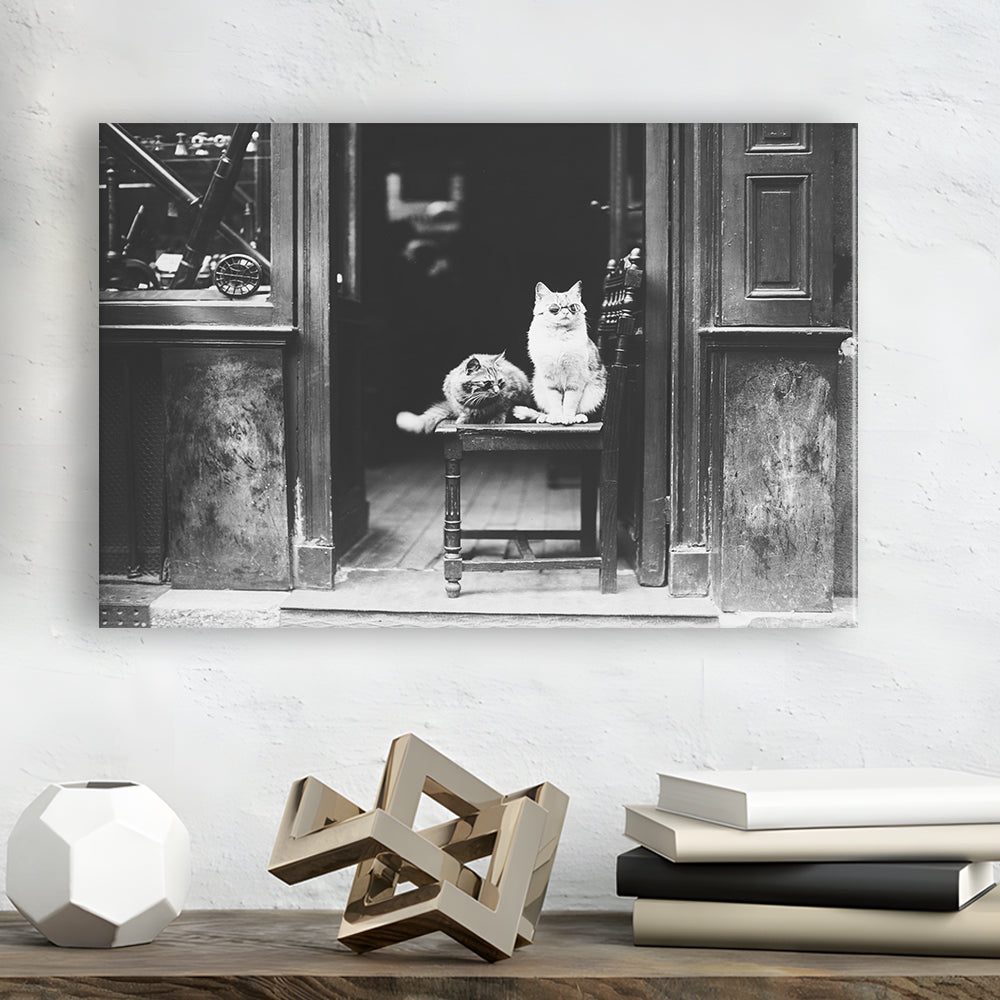 Cute Cats Wearing Sunglasses Funny Vintage Animal Photo Black and White Art, Canvas Print Wall Art Decor