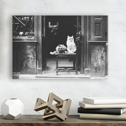 Cute Cats Wearing Sunglasses Funny Vintage Animal Photo Black and White Art, Canvas Print Wall Art Decor