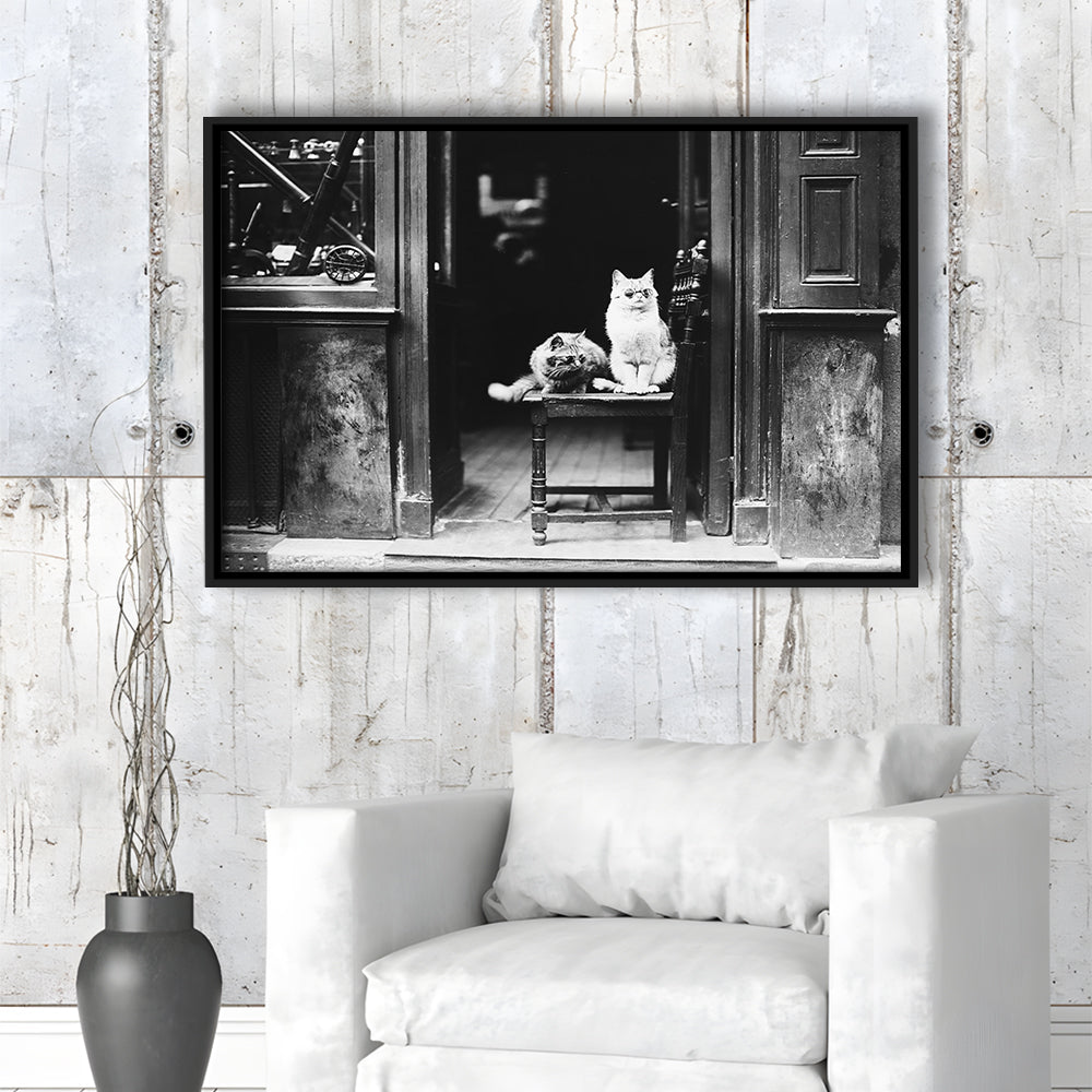 Cute Cats Wearing Sunglasses Funny Vintage Animal Photo Black and White Art, Floating Framed Canvas Print