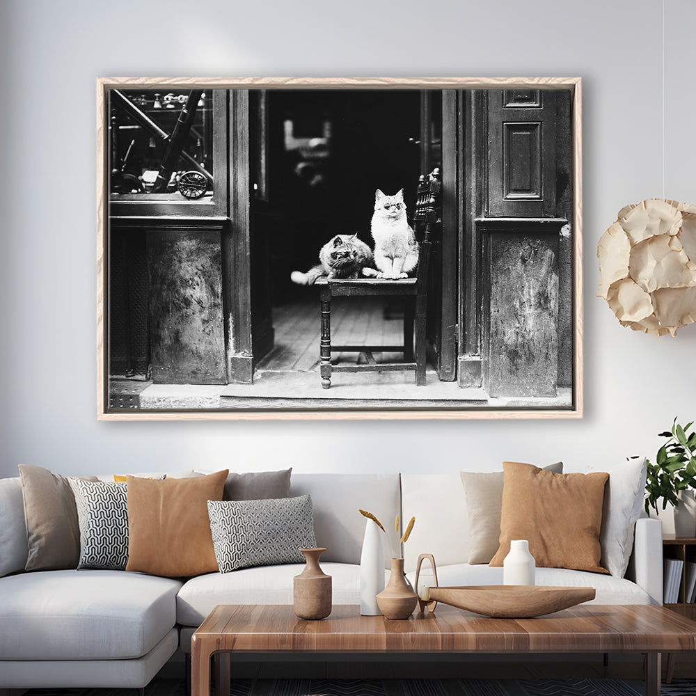 Cute Cats Wearing Sunglasses Funny Vintage Animal Photo Black and White Art, Floating Framed Canvas Print