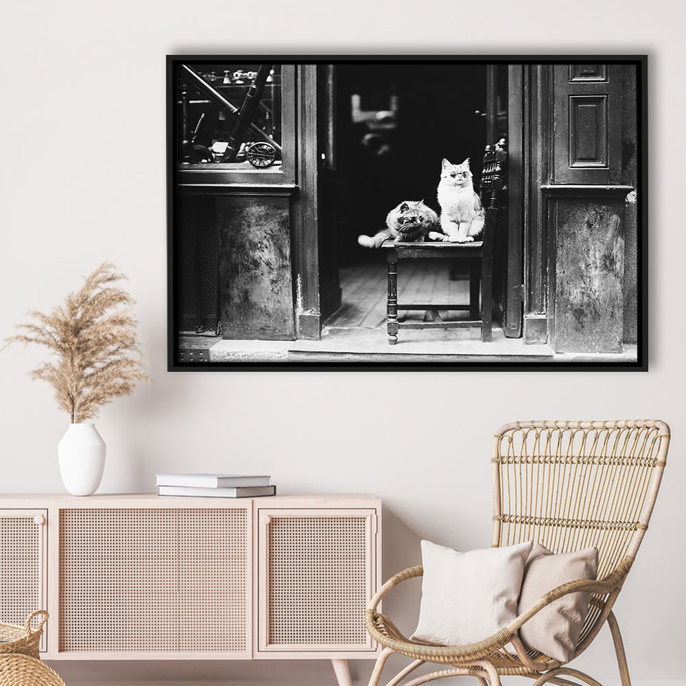 Cute Cats Wearing Sunglasses Funny Vintage Animal Photo Black and White Art, Floating Framed Canvas Print