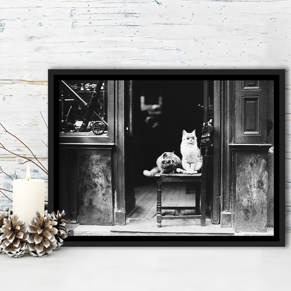 Cute Cats Wearing Sunglasses Funny Vintage Animal Photo Black and White Art, Floating Framed Canvas Print